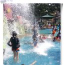 와와공원 이미지