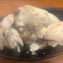 오로지생태한마리 이미지