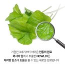 이소식품