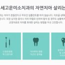 연세고운미소치과의원 이미지