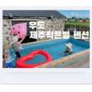 제주작은별 이미지