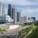 퍼스트 메디칼 이미지