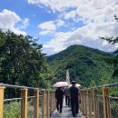 경상남도 거창ㅡ 수승대 출렁다리 에 오르다 이미지