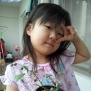 태현이네 이미지