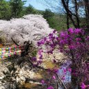 장산공원 이미지