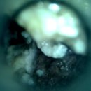 24시 이오동물병원 이미지