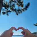 여수 낭만 153 이미지