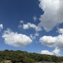 인천향교.인천도호부청사(37125) | 가을 단풍뷰 끝판왕 🍁 투썸플레이스 인천문학점