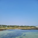 이플제주 이미지