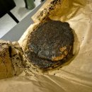 할렐루야농장 이미지