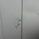 금석농장 이미지