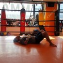 오스타짐 이미지