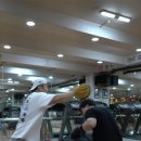 성연미트 이미지