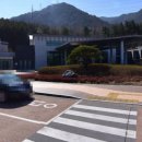 진해천자원 이미지