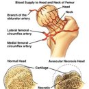 지누동물병원 이미지
