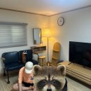 1947익산펜션 이미지