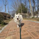 오정로266번길 이미지