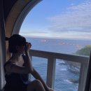 피스하우징(평화주택) 이미지