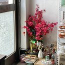 안디베트남쌀국수 이미지