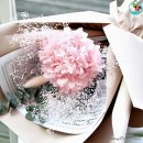 꽃주니
