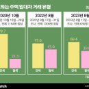 선호네