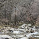 구룡지구 Daum카페