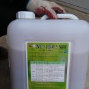 유황돼지 이미지