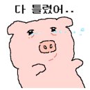 신화쭈꾸미 이미지