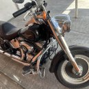 FAT BOY 2004 팝니다. 140,000MXN 이미지