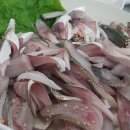 무지개 회 식당 이미지