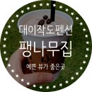 대이작_해양생태관 | 대이작도펜션 &#34;팽나무집&#34; 뷰가좋은펜션 다녀온 후기.