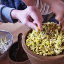 수잔나어린이집 이미지