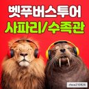 베테랑투어