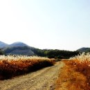 서정적 풍경 이미지