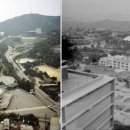 명동체육관 이미지