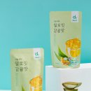 잇제주 이미지