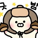 애월화룸 이미지