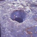 홍원1리마을회관 이미지