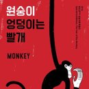 재주많은원숭이