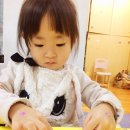 바디메오안경 Daum카페