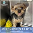 행신동물의료센터 이미지