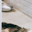 잔다냥 강동점 이미지