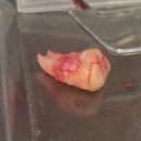 성서치과의원 이미지