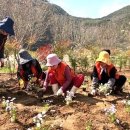 영춘생활체육공원 이미지