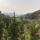 숲속한옥 이미지