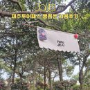 상효아트 | 제주 투어패스 뽕뽑는법 2박3일 가족여행 타임제로 48시간