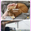 세번째 콘서트 | 2026 제27회 전주국제영화제 1일차 혼영 혼밥 혼놀