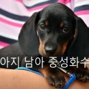 아침동물병원 이미지