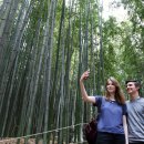 담양대나무축제 이미지