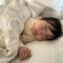 오성목장 이미지